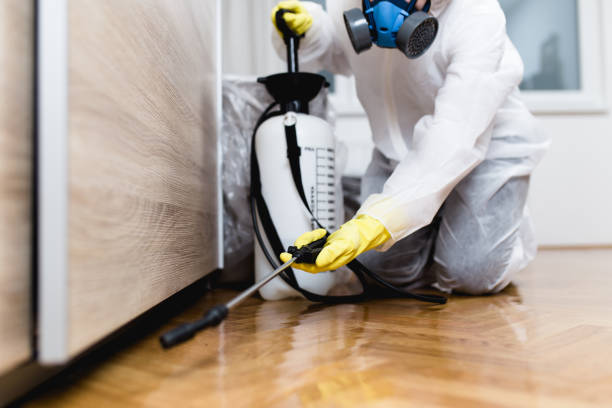 Best Insect Control  in Lanse, MI