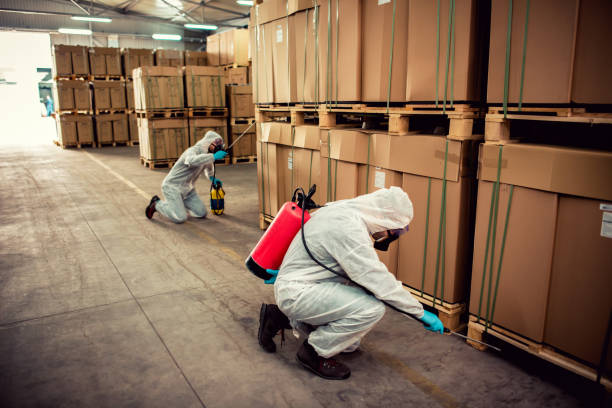 Best Pest Control Near Me  in Lanse, MI