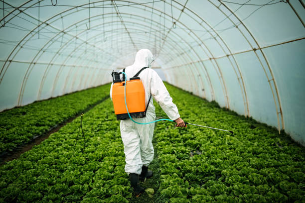 Best Pest Prevention Services  in Lanse, MI
