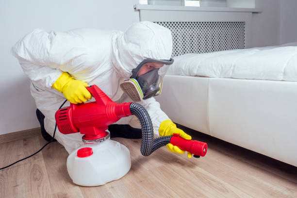 Best Pest Control Near Me in Lanse, MI