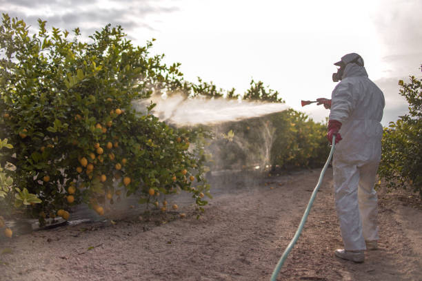 Best Affordable Pest Control Services  in Lanse, MI